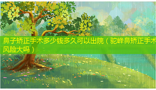鼻子矫正手术多少钱多久可以出院(驼峰鼻矫正手术风险大吗)-第1张图片-南山整形网 鼻子矫正手术多少钱多久可以出院(驼峰鼻矫正手术风险大吗)-第1张图片-南山整形网