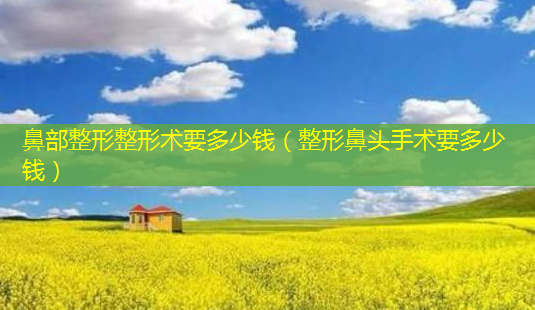 鼻部整形整形术要多少钱(整形鼻头手术要多少钱)-第1张图片-南山整形网 鼻部整形整形术要多少钱(整形鼻头手术要多少钱)-第1张图片-南山整形网