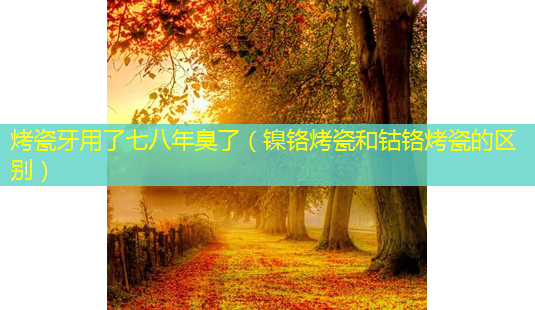 烤瓷牙用了七八年臭了(镍铬烤瓷和钴铬烤瓷的区别)-第1张图片-南山整形网 烤瓷牙用了七八年臭了(镍铬烤瓷和钴铬烤瓷的区别)-第1张图片-南山整形网
