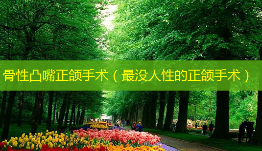 骨性凸嘴正颌手术(最没人性的正颌手术)-第1张图片-南山整形网 骨性凸嘴正颌手术(最没人性的正颌手术)-第1张图片-南山整形网