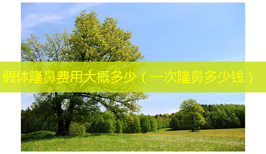 假体隆鼻费用大概多少(一次隆鼻多少钱)-第1张图片-南山整形网 假体隆鼻费用大概多少(一次隆鼻多少钱)-第1张图片-南山整形网