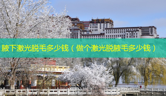 腋下激光脱毛多少钱(做个激光脱腋毛多少钱)-第1张图片-南山整形网 腋下激光脱毛多少钱(做个激光脱腋毛多少钱)-第1张图片-南山整形网