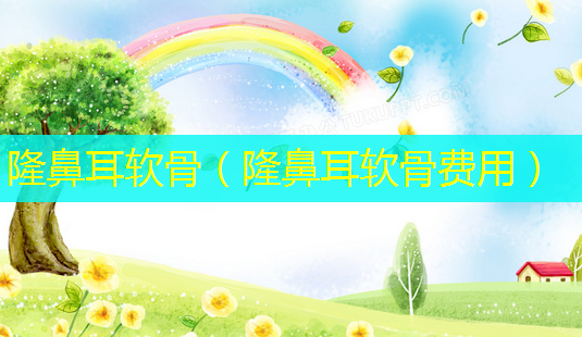隆鼻耳软骨(隆鼻耳软骨费用)-第1张图片-南山整形网 隆鼻耳软骨(隆鼻耳软骨费用)-第1张图片-南山整形网