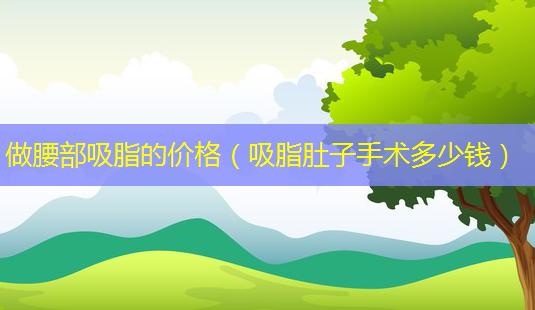 做腰部吸脂的价格(吸脂肚子手术多少钱)-第1张图片-南山整形网 做腰部吸脂的价格(吸脂肚子手术多少钱)-第1张图片-南山整形网