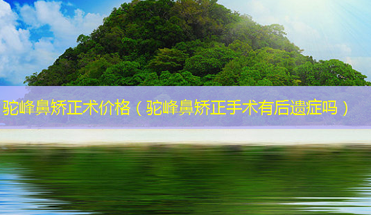 驼峰鼻矫正术价格(驼峰鼻矫正手术有后遗症吗)-第1张图片-南山整形网 驼峰鼻矫正术价格(驼峰鼻矫正手术有后遗症吗)-第1张图片-南山整形网