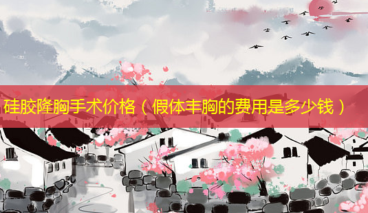 硅胶隆胸手术价格(假体丰胸的费用是多少钱)-第1张图片-南山整形网 硅胶隆胸手术价格(假体丰胸的费用是多少钱)-第1张图片-南山整形网