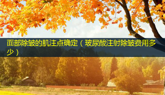 面部除皱的肌注点确定(玻尿酸注射除皱费用多少)-第1张图片-南山整形网 面部除皱的肌注点确定(玻尿酸注射除皱费用多少)-第1张图片-南山整形网