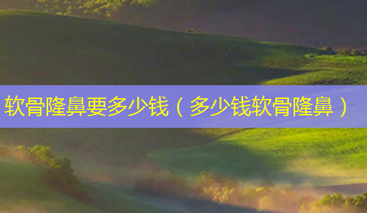 软骨隆鼻要多少钱(多少钱软骨隆鼻)-第1张图片-南山整形网 软骨隆鼻要多少钱(多少钱软骨隆鼻)-第1张图片-南山整形网