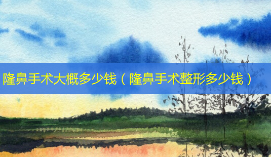 隆鼻手术大概多少钱(隆鼻手术整形多少钱)-第1张图片-南山整形网 隆鼻手术大概多少钱(隆鼻手术整形多少钱)-第1张图片-南山整形网