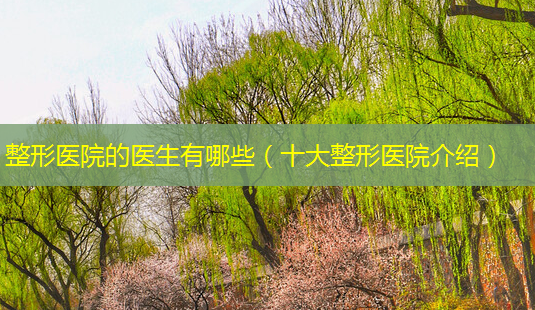 整形医院的医生有哪些(十大整形医院介绍)-第1张图片-南山整形网 整形医院的医生有哪些(十大整形医院介绍)-第1张图片-南山整形网