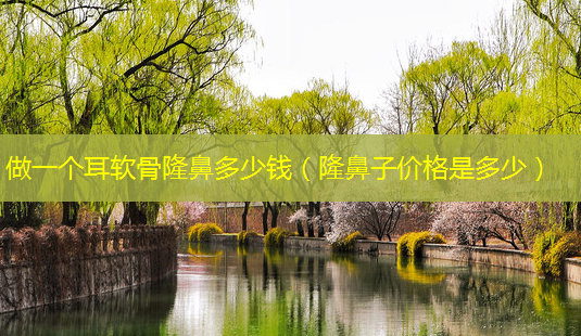 做一个耳软骨隆鼻多少钱(隆鼻子价格是多少)-第1张图片-南山整形网 做一个耳软骨隆鼻多少钱(隆鼻子价格是多少)-第1张图片-南山整形网