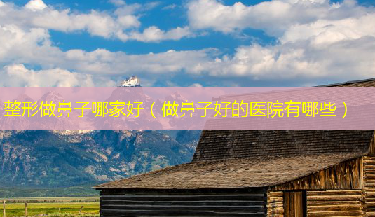 整形做鼻子哪家好(做鼻子好的医院有哪些)-第1张图片-南山整形网 整形做鼻子哪家好(做鼻子好的医院有哪些)-第1张图片-南山整形网