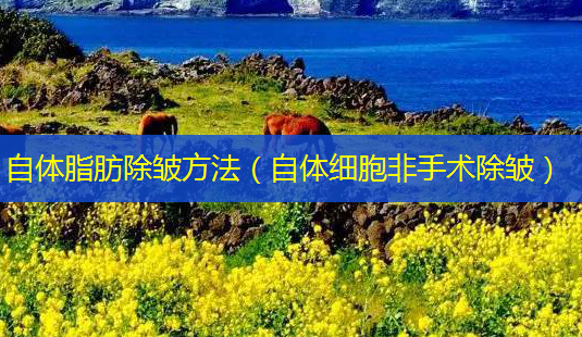自体脂肪除皱 *** (自体细胞非手术除皱)-第1张图片-南山整形网 自体脂肪除皱 *** (自体细胞非手术除皱)-第1张图片-南山整形网